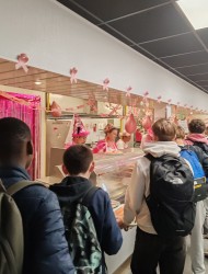 Voir la galerie (3 photos)
